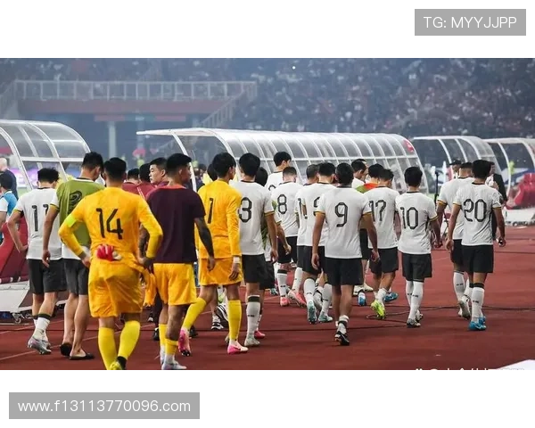 国家队逆转夺冠引爆球迷热情激战赛场精彩瞬间震撼全场表现非凡实力