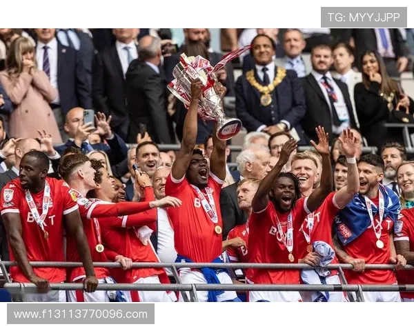 从英格兰老牌劲旅到复兴之路的查尔顿俱乐部全景解析历史与未来发展观察 从英格兰老牌劲旅到复兴之路的查尔顿俱乐部全景解析历史与未来发展观察